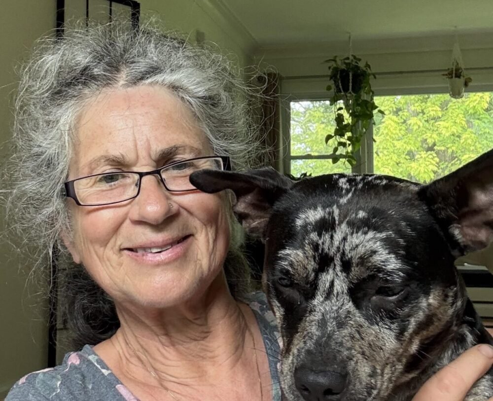 Pet and Animal Blessing Yagya June 22-28, 2028