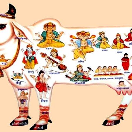 kamadhenu